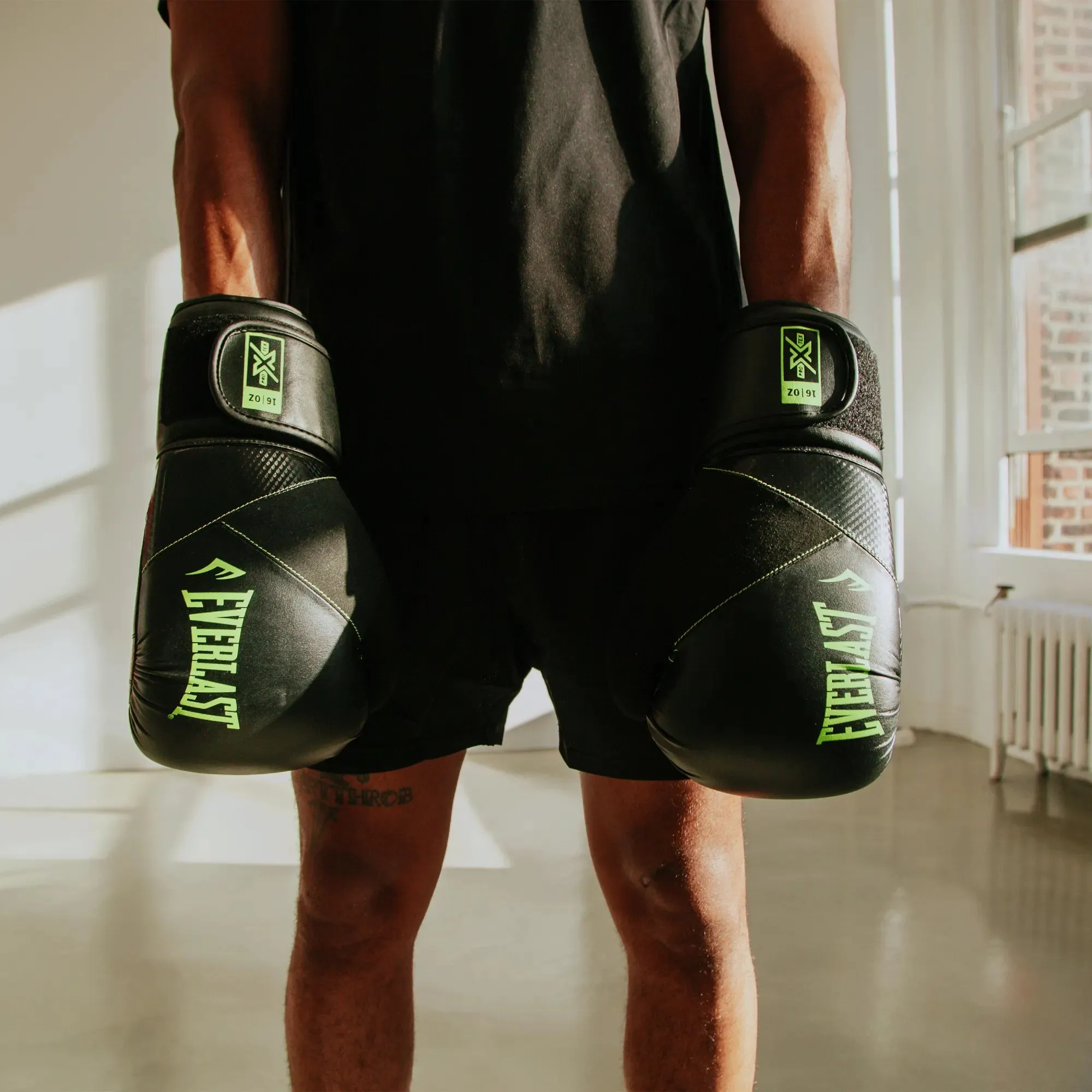 Protex Boxing Gloves