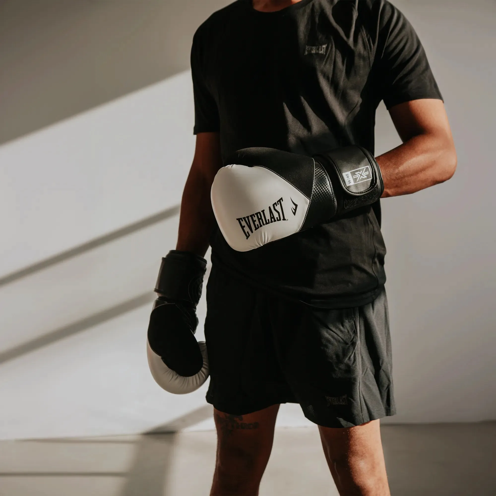 Protex Boxing Gloves
