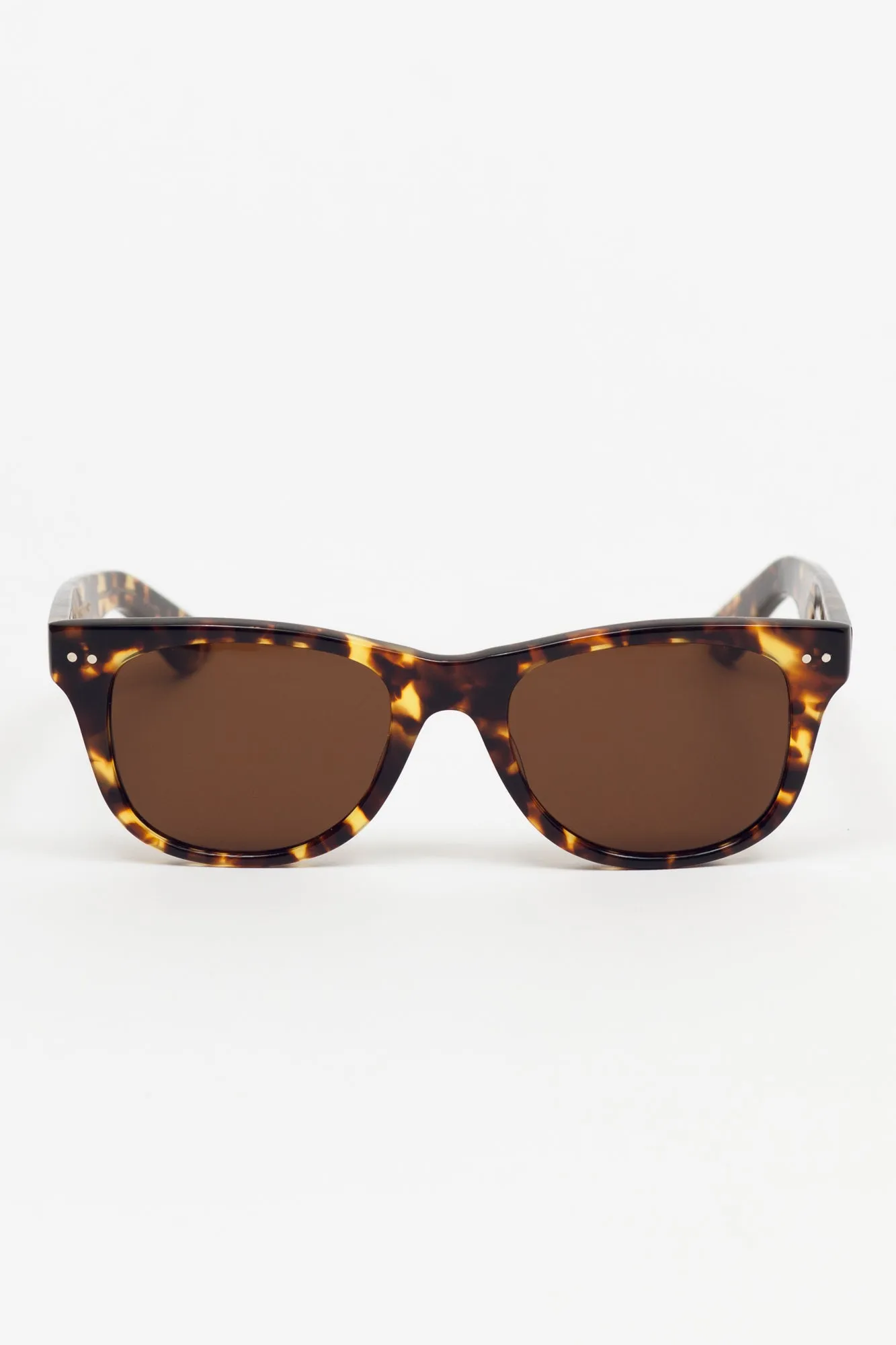 Sidney Sunglassses - Tortoise