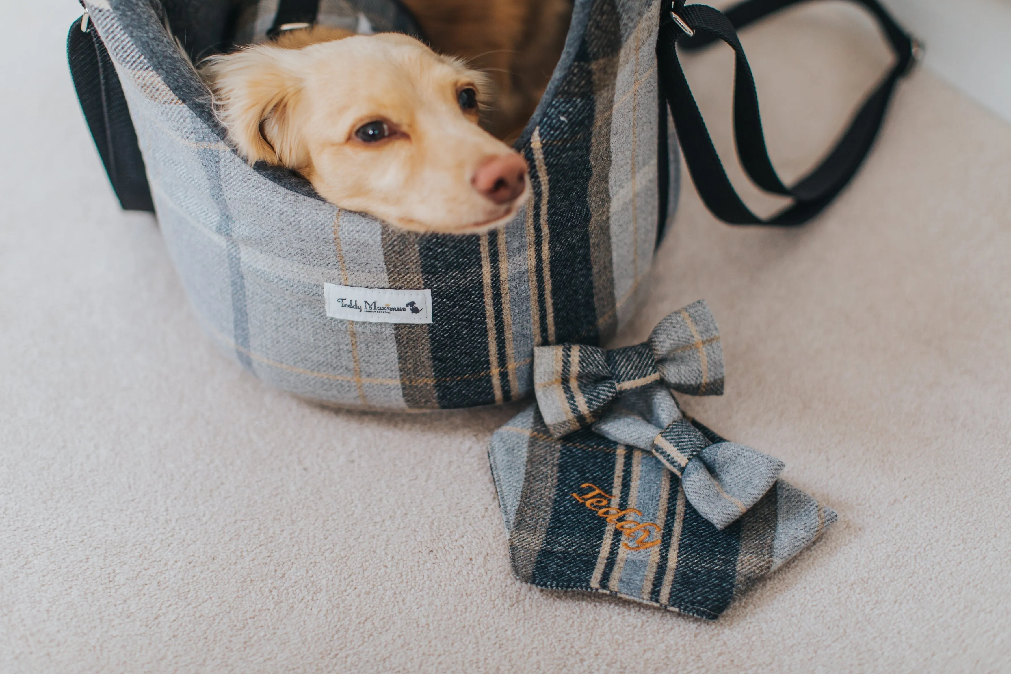 The Belgravia Dog Bow Tie